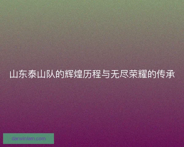 山东泰山队的辉煌历程与无尽荣耀的传承