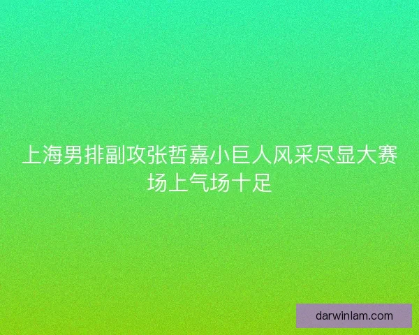 上海男排副攻张哲嘉小巨人风采尽显大赛场上气场十足